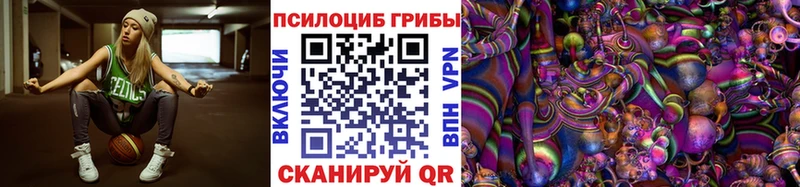 Галлюциногенные грибы Psilocybe  наркошоп  Свободный 